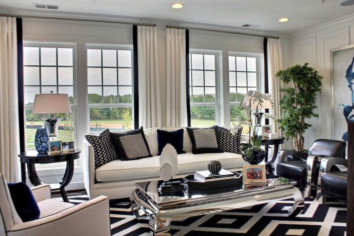 Black and white modern home decor