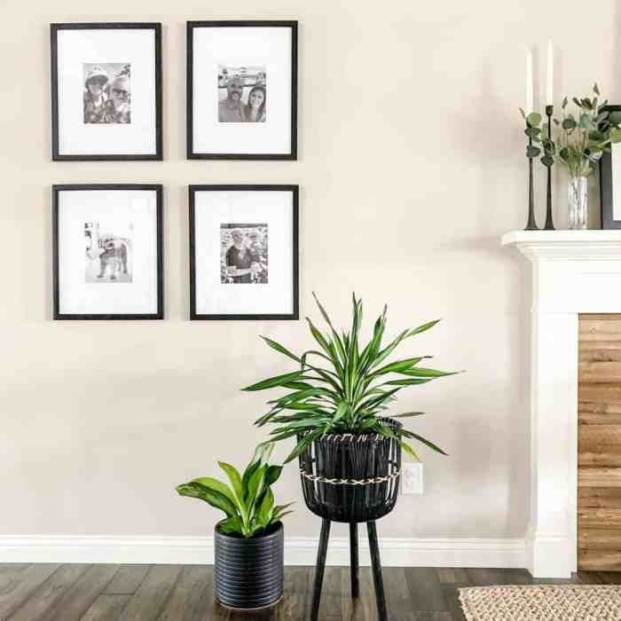 Black and white modern wall decor